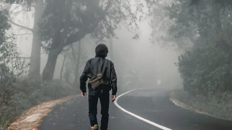 A person walking away down a quiet road through misty trees.