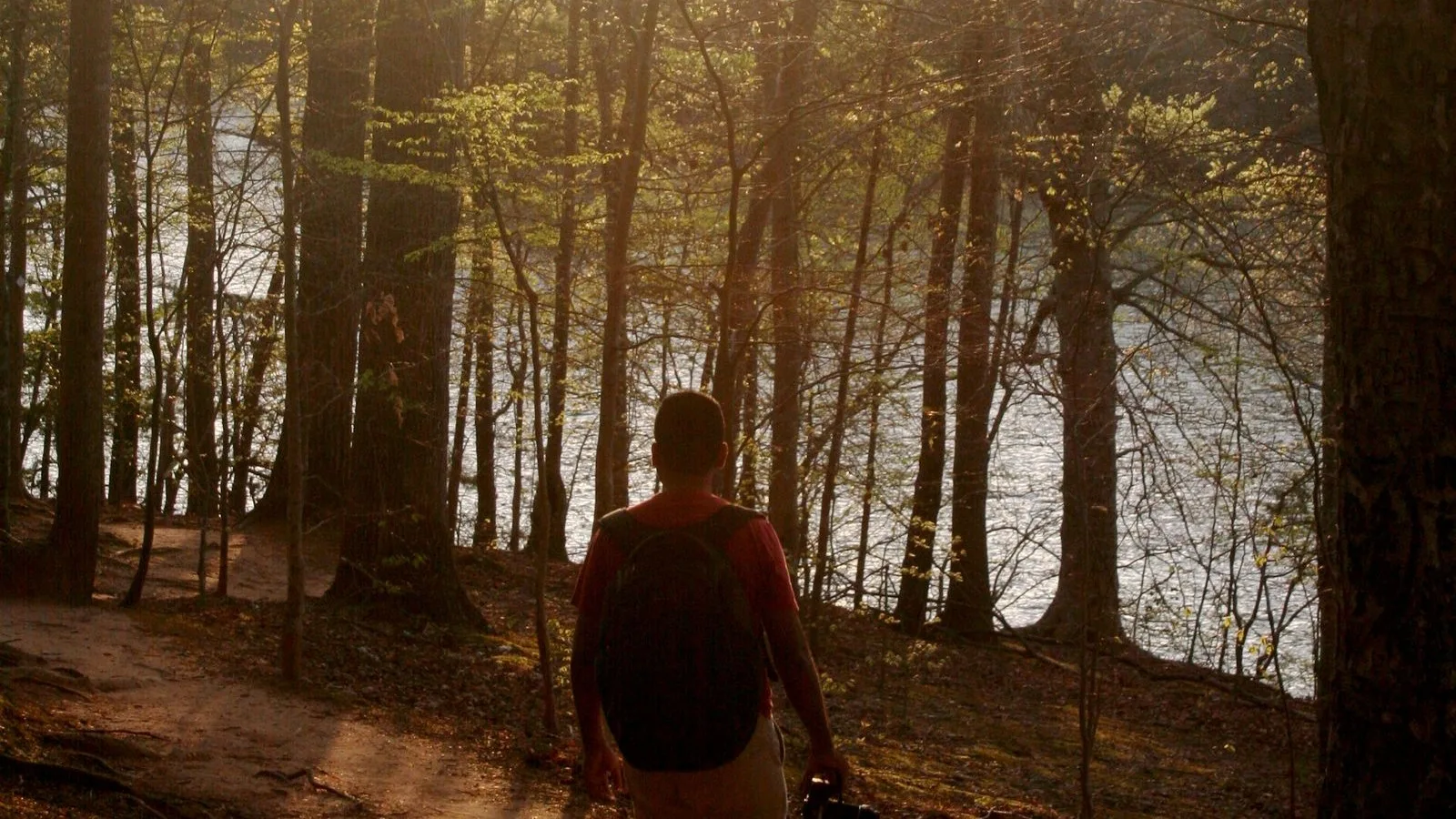 A person walking a forest path beside water in warm late-afternoon light.