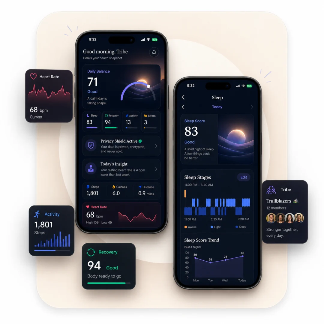 Tribe app showing a calm nightly sleep reflection